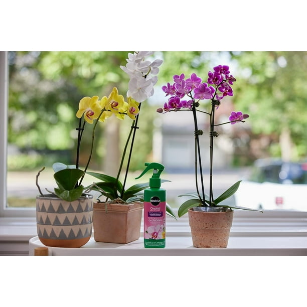 Miracle-Gro Orchid Plant Food Mist 236mL - Walmart.ca