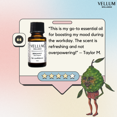 thumbnail image 4 of Bergamot Essential Oil, 4 of 7