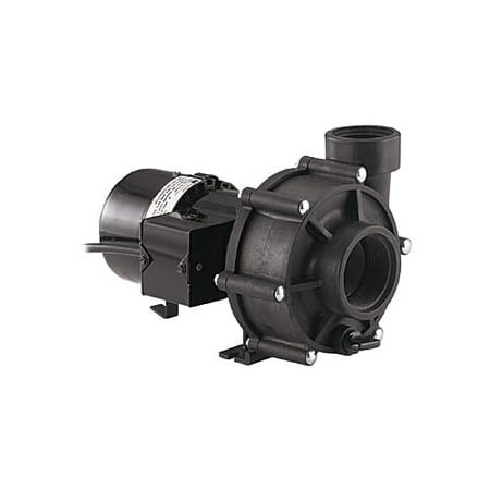 Little Giant 566021 Outdoor Living External Use Inline Pond Pump with NPT Connections and 8'