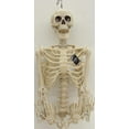 thumbnail image 4 of Way to Celebrate! 5 ft Posable Skeleton Halloween Decoration Prop, 4 of 4