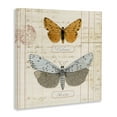 thumbnail image 3 of Stupell Industries Eclectic Vintage Butterfly Specimen Canvas Art, 17 x 17, by Susan Arnot, 3 of 8
