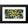 thumbnail image 2 of Joseph Decker 14x9 Black Modern Framed Museum Art Print Titled - Ripening Pears (C. 1884-1885), 2 of 5