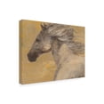 thumbnail image 2 of Trademark Fine Art 'Into The Wind' Canvas Art by Albena Hristova, 2 of 3
