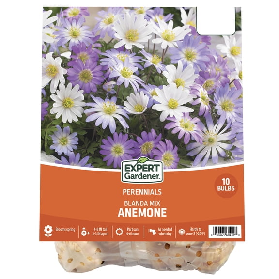 Expert Gardener Anemone Blanda Mix Plant Bulbs (10 Dormant Bulbs)