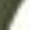Army Green Leggings for Women, variant on AINIYS Women's High Waisted Skinny Leggings Elastic Waist Stylish Pants for Daily Errands Work Casual Wear Army Green L