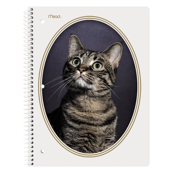 Mead Cat Portrait 1 Subject College Ruled Notebook, 7.5" x 10.5", Spiral, 80 Sheets