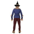 thumbnail image 3 of Adult Plus Size Patchwork Scarecrow Costume, 3 of 3