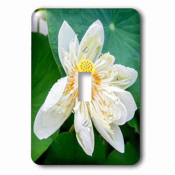 3dRose, Lotus Blossom Flower, Vietnam, Asia, single toggle switch