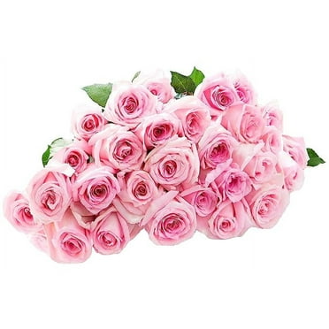KaBloom: Fall Collection-Bouquet of 24 Pink Roses,Next-Day Delivery, Gift of Fresh Flowers for Every Occasion.