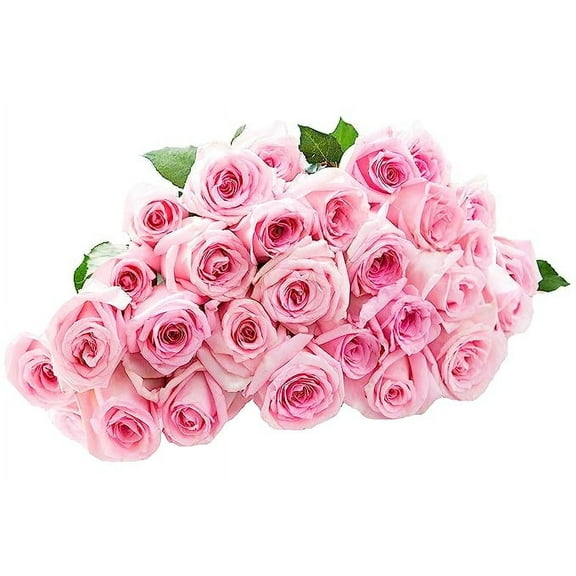 KaBloom: Fall Collection-Bouquet of 25 Pink Roses,Next-Day Delivery, Gift of Fresh Flowers for Every Occasion.