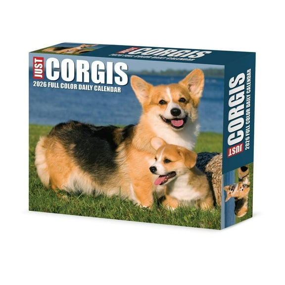 Willow Creek Press, Just Corgis 2026 Desk Calendar, 6.18'' X 5.43'', Daily Calendar with Adhesive Binding