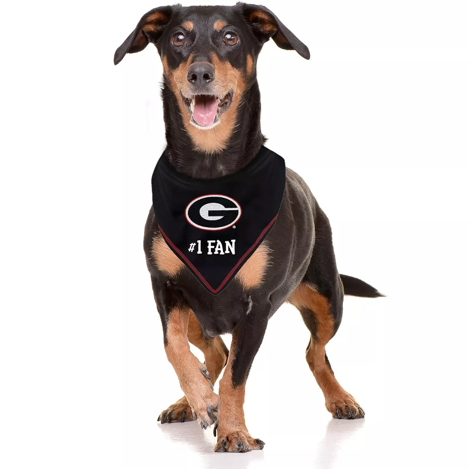 Pets First NCAA Personalized Tie Bandana for Dogs & Cats Sporty Dog Bandana