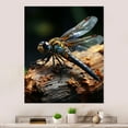 thumbnail image 2 of Designart "Portrait Vibrant Brown Dragonfly painting" Animals Dragonfly Metal Wall Decor, 2 of 5