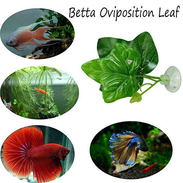 NEW Artificial Plant Leaf Betta Hammock Fish Rest Bed Tropical Aquarium