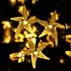 Qedertek Solar Christmas Lights 20ft 30 LED Starfish Solar Fairy String Lightsfor Outdoor,Garden,Home,Wedding,Party and Holiday Decorations(Warm White)
