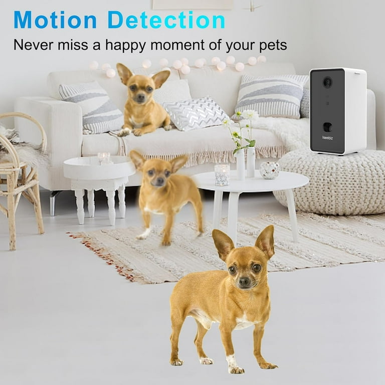 Wall mounted dog treat dispenser 2025