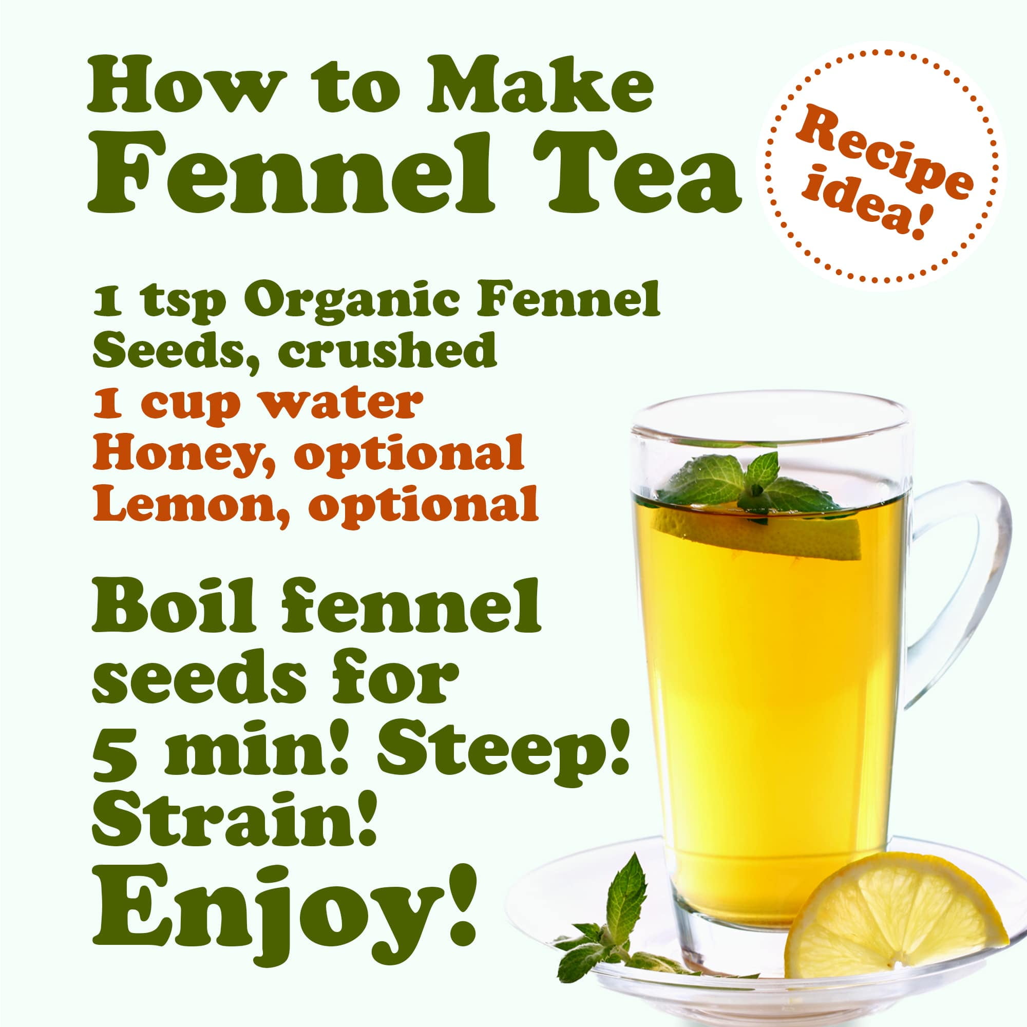 Organic Fennel Seeds, 3 Pounds — Whole, Non-GMO, Kosher, Vegan, Bulk - Food to Live