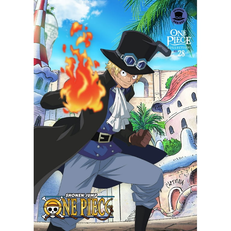 New One Piece: Collection 28 (Blu-ray + DVD) - Walmart.com