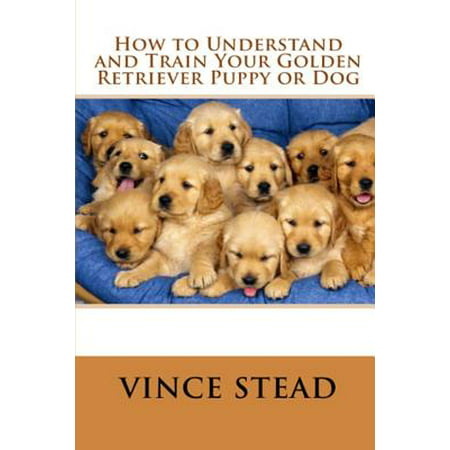 How to Understand and Train Your Golden Retriever Puppy or