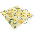 thumbnail image 2 of Lemon Blanket,Comfortable Soft Flannel Throw Blanket,All Season,Warm Lightweight Blankets for Sofa Bed Couch Living Room Chair,50"x60"(130x150cm), 2 of 4