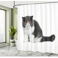 thumbnail image 4 of Ambesonne Kitty Shower Curtain, Surprised Cat Plain Back View, 69"Wx84"L, Charcoal Grey White and Tan, 4 of 4