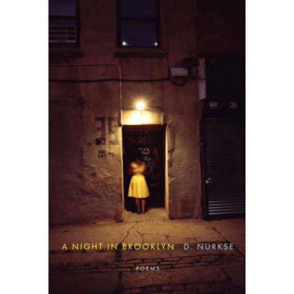Pre-Owned A Night in Brooklyn (Hardcover) 0307959325 9780307959324