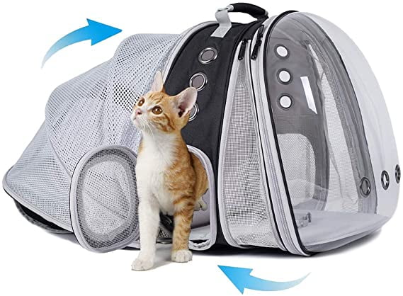 backpack cat bubble