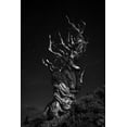thumbnail image 2 of Chenglu, Simon 23x32 White Modern Wood Framed Museum Art Print Titled - Grand-Grand-Grand-Pas Tree, 2 of 4