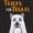Ghostly Dog, variant on RITZ 100% Cotton Summer Kitchen Towels, Set of 4, Mummy Dish Towels Set
