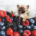 thumbnail image 3 of Pofeuu Variety Of Fruits And Berries Print Puppy Blanket,Dog Blankets,Pet Blanket Cozy Cat Blankets for Indoor Cats, Fuzzy Pet Blanket for Kitten Doggy Dog Blankets-Small, 3 of 8