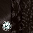 thumbnail image 4 of Garnier Nutrisse Nourishing Hair Color Creme, 020 Soft Black Tea, 4 of 14