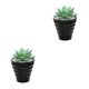 thumbnail image 3 of Injueey Bonsái Artificial paisaje interior simulación decorativa suculenta miniatura Mini plantas adornos de arreglo de escritorio Type1 NO1, 3 of 6