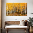 thumbnail image 3 of Elephant Stock Colorado Aspen Forest Wall Art - Horizontal Multi Panel Canvas - 3 Pieceliving Room Wall Decor - Photography Nature Multi Panel - Orange And Brown Decor - 50" x 32", 3 of 8