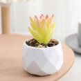 thumbnail image 1 of Zhuge piezas de plantas de simulación en maceta, pequeñas plantas falsas en maceta, mini plantas artificiales de escritorio (A49), 1 of 5