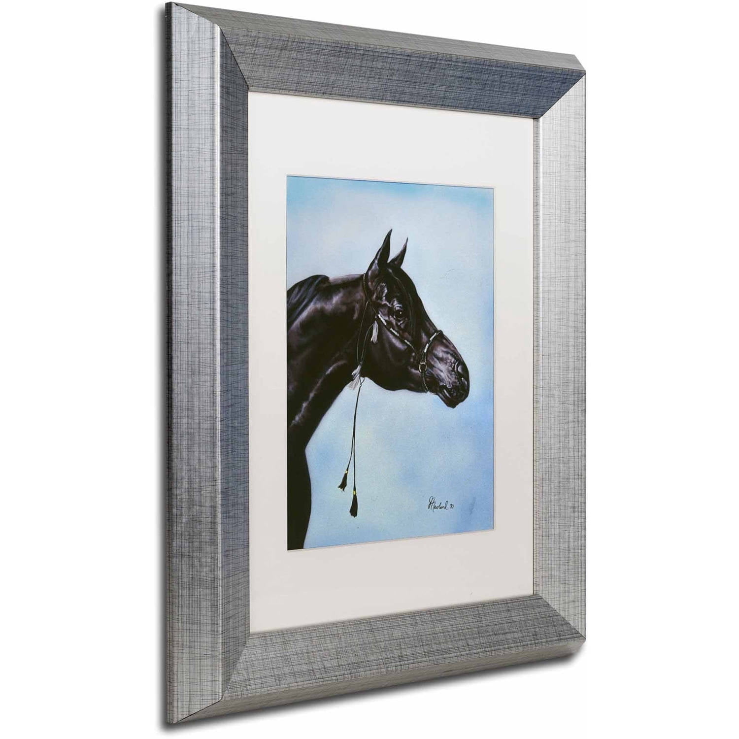 Trademark Fine Art 'Black Arabian' Canvas Art by Jenny Newland, White Matte, Silver Frame