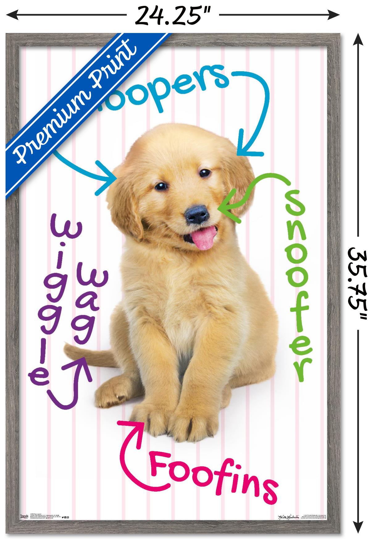Keith Kimberlin - Puppy - Pup-A-Gram Wall Poster, 22.375" x 34", Framed