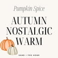 thumbnail image 4 of Vela Sand + Fog Pumpkin Spice de 3 Mechas en Tarro de Lujo de 21 oz, 4 of 9
