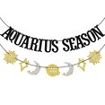 thumbnail image 1 of Banner decorativo para fiesta de la temporada de Acuario TWO MUCH FUN, 1 of 8