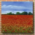 thumbnail image 3 of Epic Art 'Field of Poppies II' by Tim O'Toole, Acrylic Glass Wall Art, 36"x36", 3 of 6