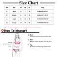 thumbnail image 3 of Levmjia Women Lace Lingerie Set Sheer Mesh Hollow Out Solid Color Two Piece Bra And Panty With Adjustable Shoulder Straps Night Date Daily Elegant, 3 of 4