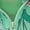 Green, variant on EnJoCho Toddler Girls Boys Cartoon Lightweight Jacket Hooded Windbreaker Spring Summer Zip Up Outerwear Coat Fall Windcoat Rain Shell