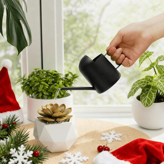 Bamworld 10 oz Black Steel Watering Cans with Long Spout for House Garden Plants