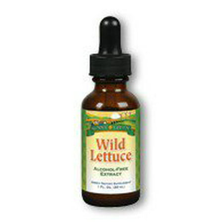 Wild Lettuce Extract Drops Sunny Green 1 oz (Best Wild Lettuce Extract)