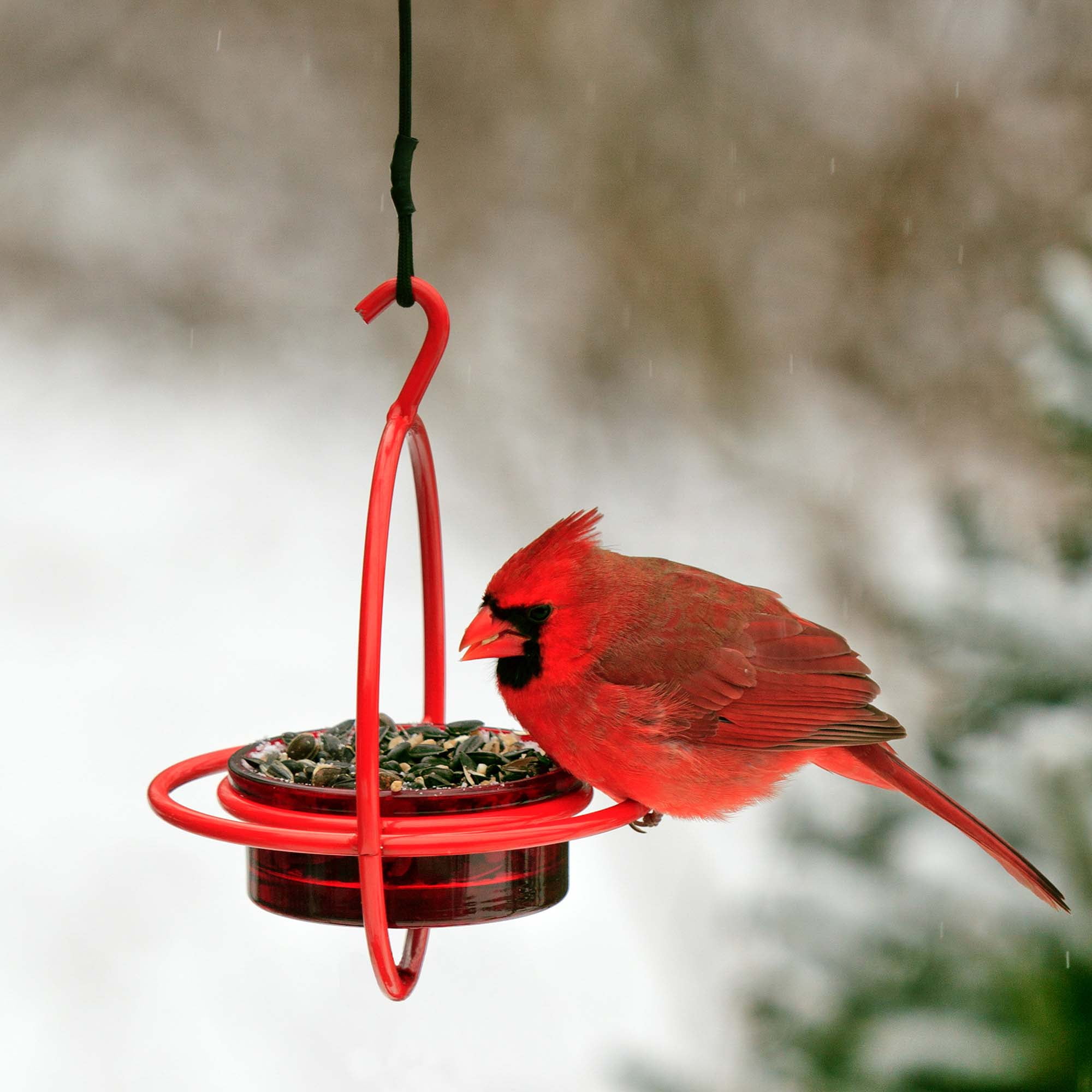 Mosaic Birds Hummble Bold Hanging Bird Feeder for Outdoors, Oriole, Finch Wild Bird Feeders - Lime Green