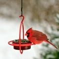 thumbnail image 6 of Mosaic Birds Hummble Bold Hanging Bird Feeder for Outdoors, Oriole, Finch Wild Bird Feeders - Aqua Blue, 6 of 7