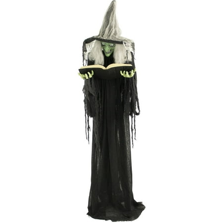 Haunted Hill Farm Life-Size Animatronic Witch  Indoor/Outdoor Halloween Decoration  Multi-Color