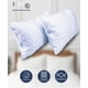 thumbnail image 4 of Almohadas 2 Pack Estándar Microfibra Firmeza Media Modelo Blanco, 4 of 4