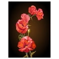 thumbnail image 2 of Bright Coquelicots Fleur - Impression sur Toile Art Floral, 2 of 3