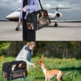thumbnail image 7 of Squirrel 17x10x11.8 in Pet Carrier Bag - Fabric 900D Oxford Cloth - Sherpa Base - Nylon Webbing - Comfy & Durable Pet Travel Bag for Small Dogs - 200 Characters., 7 of 7