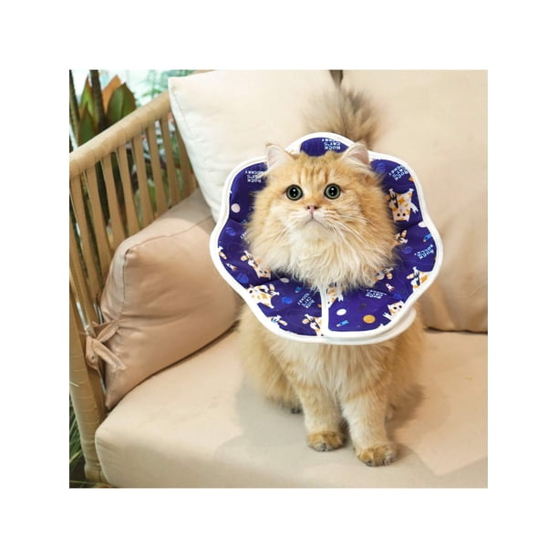 Protective Adjustable Pet Cone Collar for After Surgery, Lightweight Elizabethan Collar for Cat Kitten Prevent from Licking Wounds, Not Block Vision